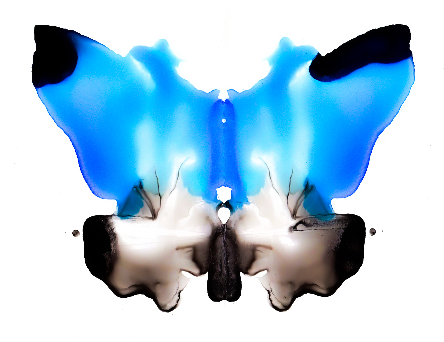 Inkblots thumbnail thumbnail