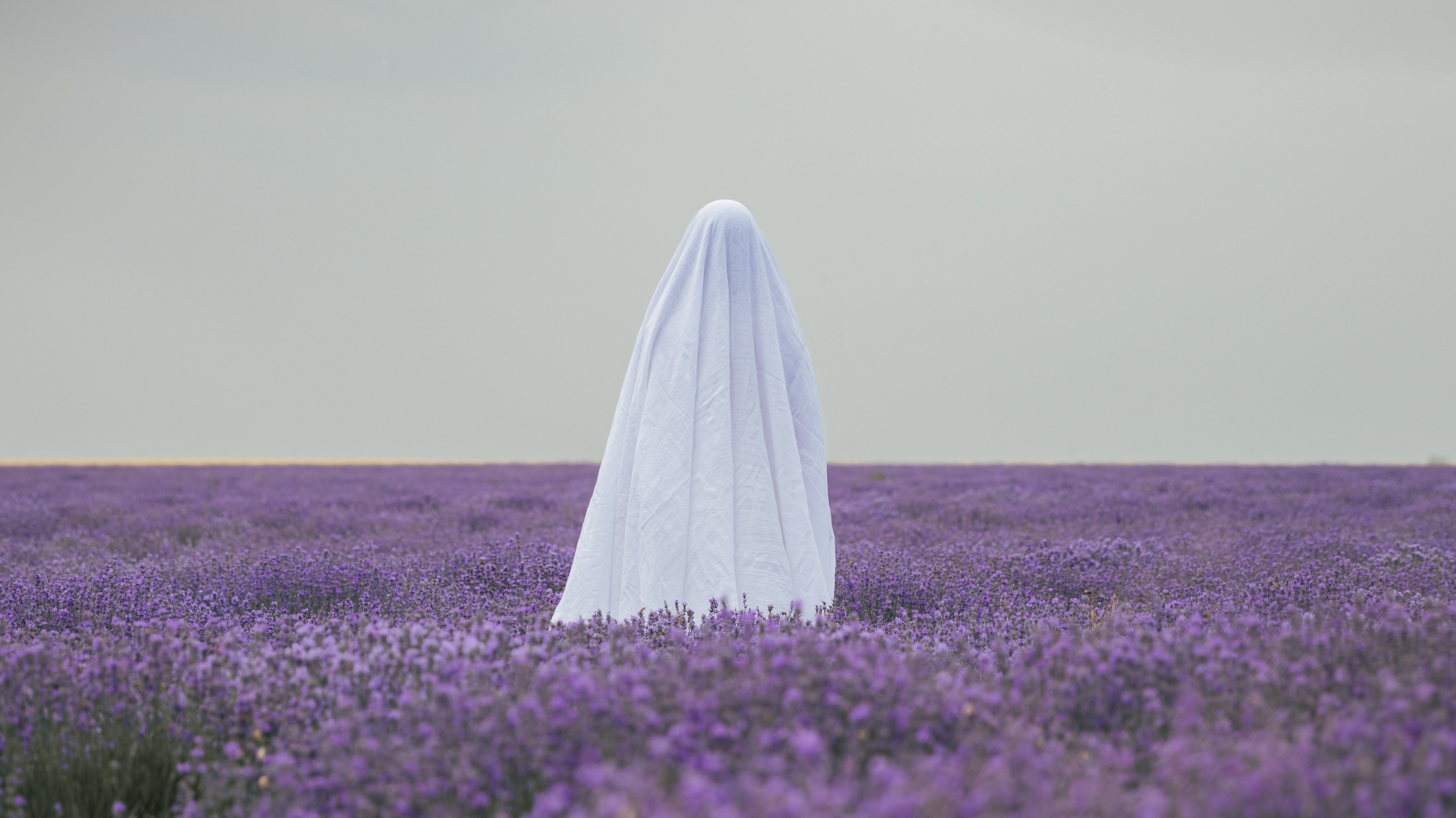 Ielele banner