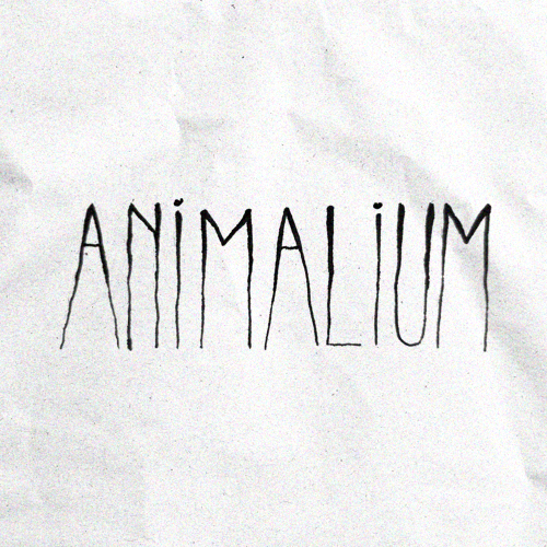 Animalium thumbnail thumbnail