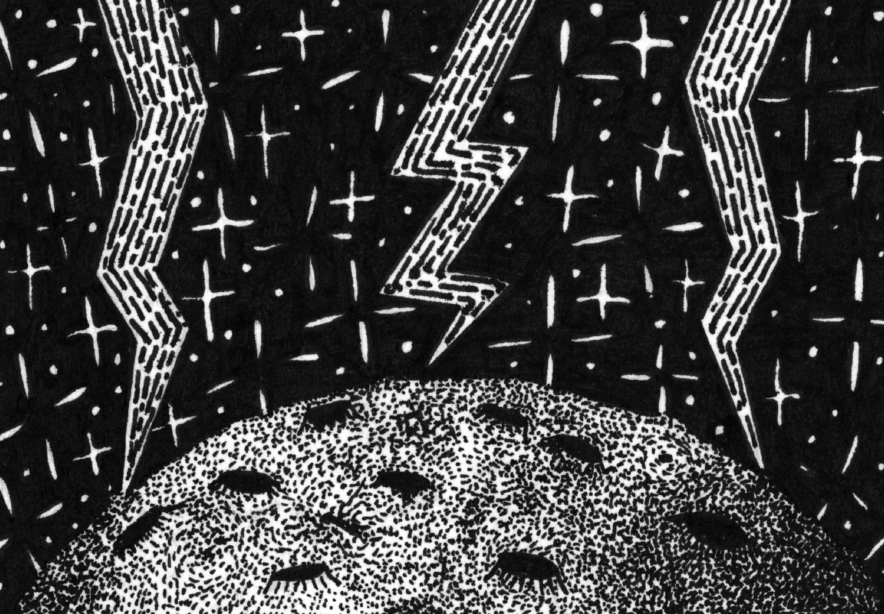VORTEX banner